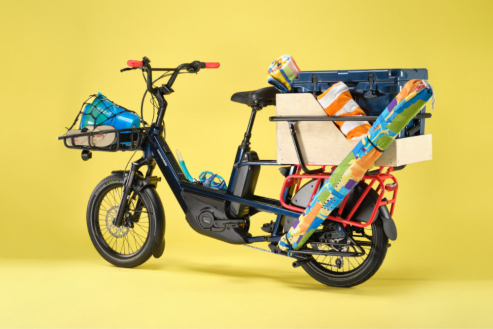 Cannondale Cargowagen Neo 1