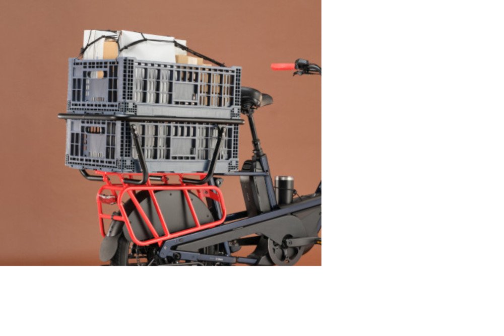 Cannondale Cargowagen Neo 1