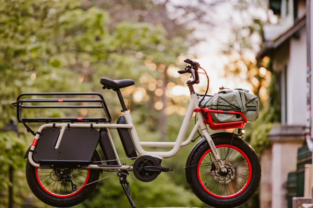 Benno Bikes RemiDemi XL